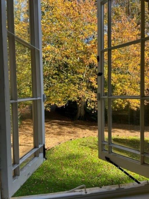 Landford'S Cottage, Your Retreat! 外观 照片